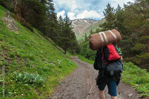 Traveler with backpack and tent goes up mountain road through forest. Caucasus Mountains, Gorge Terskol