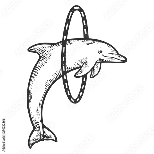 Circus dolphin jumping through ring sketch engraving vector illustration. Scratch board style imitation. Hand drawn image.
