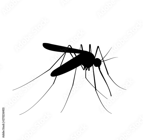 Mosquito black silhouette. Insecticide or insect icon.
