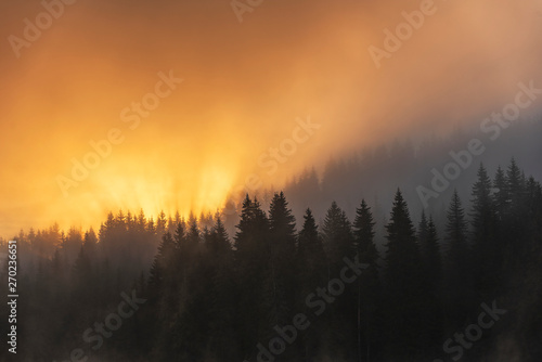 Colorful sunrise in forest mountain slope with mist