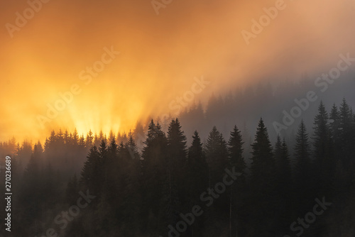Colored sunrise in forested mountain slope with fog