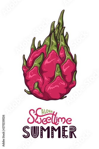 Vector illustration of dragon fruit. Lettering: aloha sweet time summer.