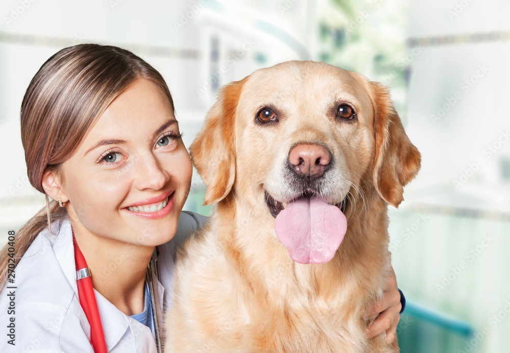 Attractive young female doctor with funny canine patient
