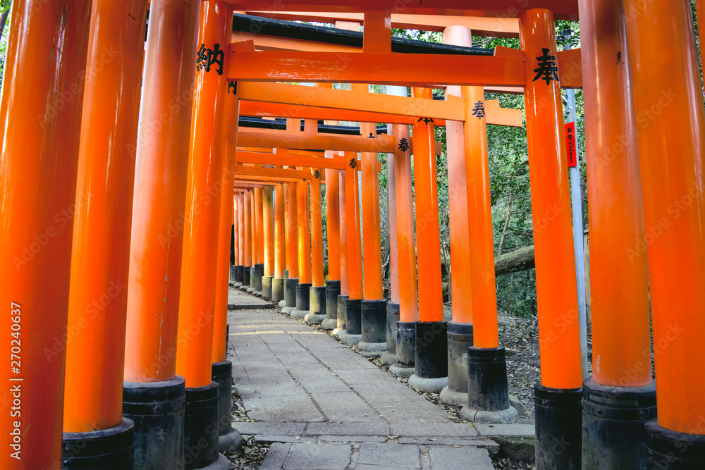 View of Torii along the main path around 10,000 torii gates at Fushimi Inari Taisha Shrine, kyoto Japan. View of Torii along the main path around 10,000 torii gates at Fushimi Inari Taisha Shrine, kyoto Japan.