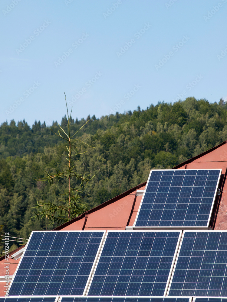 Solar panels on the roof, forest in the background