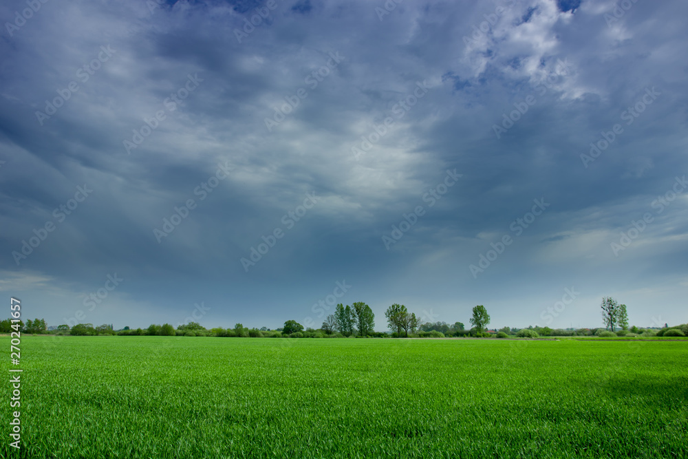 Clouds and rain over a green field Clouds and rain over a green field