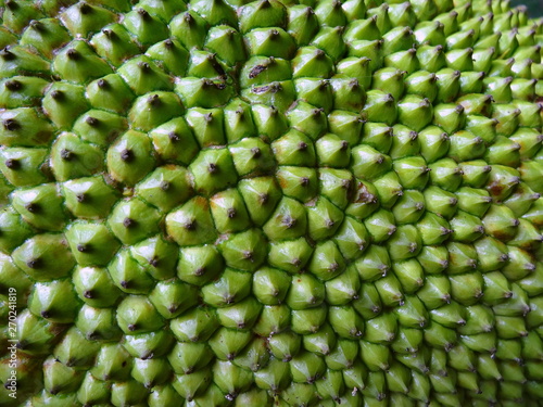 Fruit du Jacquier