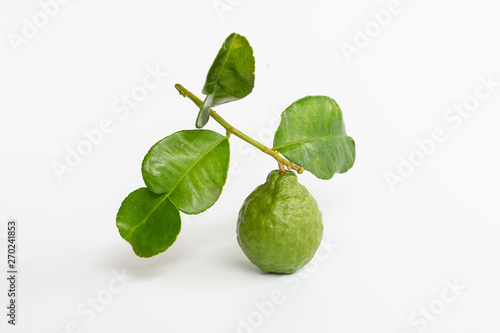 Wallpaper Mural green bergamot on white background, heab for protect hair loss problem Torontodigital.ca