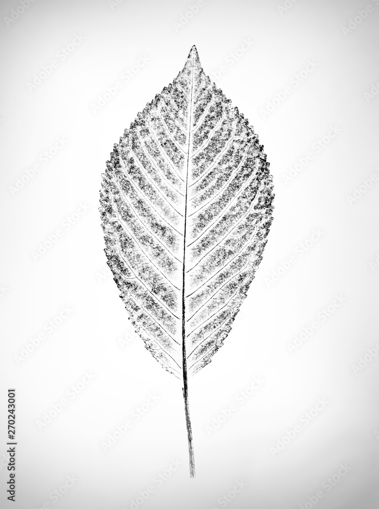 Buy Leaf drawing Handmade Painting by VAISHALI VERMA. Code:ART_960_59518 -  Paintings for Sale online in India.