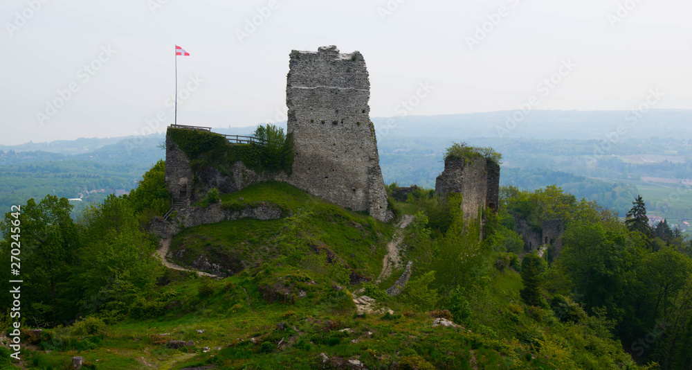 Chateau des Allinges am franzöischen Ufer des Genfer See Chateau des Allinges am franzöischen Ufer des Genfer See