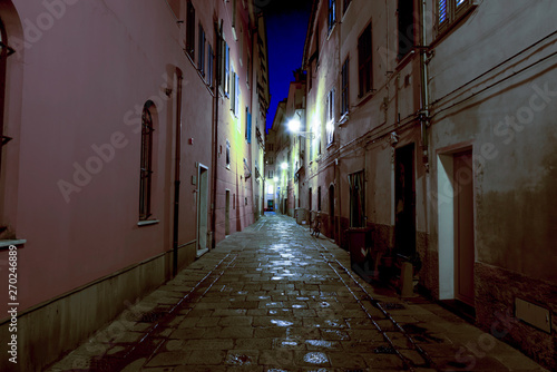 Narrow Street by Night in Sestri Levante in Liguria  Italy.