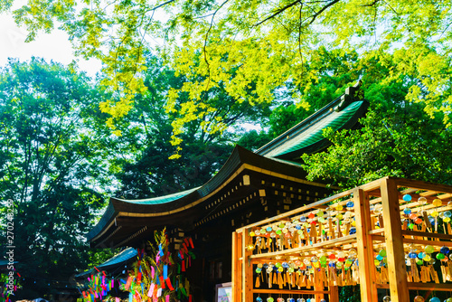 Obraz na plátne Many japanese wind bells in summer