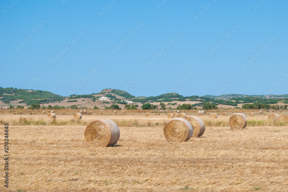 Hills of Tuscany with cultivated fields with hay bales in the foreground
