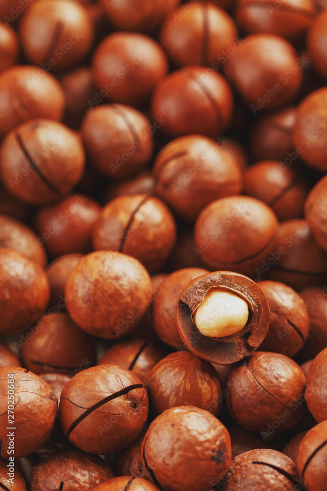 Organic macadamia nut fresh natural fruit shelled one nut in full frame close-up view. Low contrast Organic macadamia nut fresh natural fruit shelled one nut in full frame close-up view. Low contrast