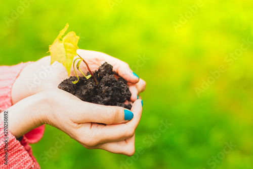 Young woman wearing pink blouse holding dirt with sapling in it on a green scenery – Teen farmer planting a young tree in a fertile and organic soil