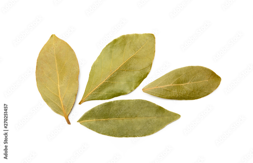Dried bay leaf isolated on white background Dried bay leaf isolated on white background