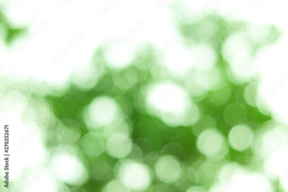 Obraz premium Closeup nature view of green leaf on blurred greenery background in garden