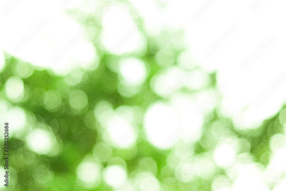 Fototapeta premium Closeup nature view of green leaf on blurred greenery background in garden