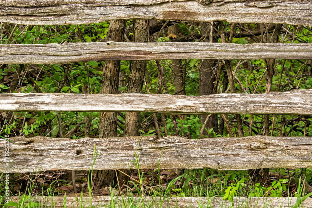 Old Wooden Fence