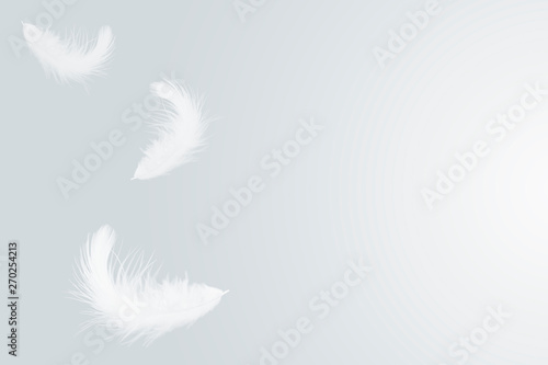 white feather falling down in the air.