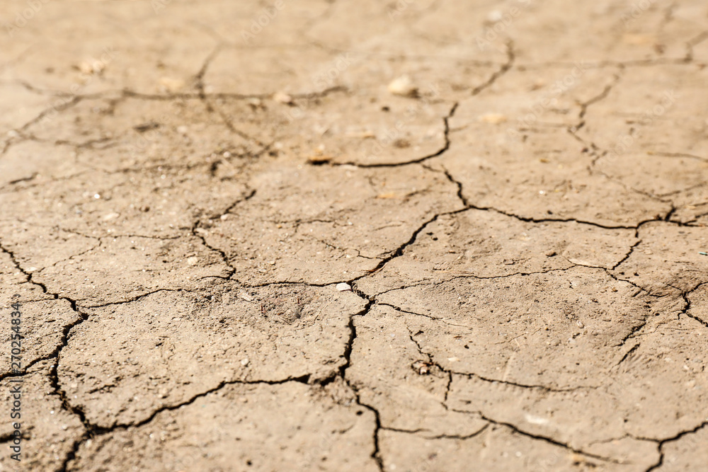 Fototapeta premium Cracked ground surface as background, closeup. Thirsty soil