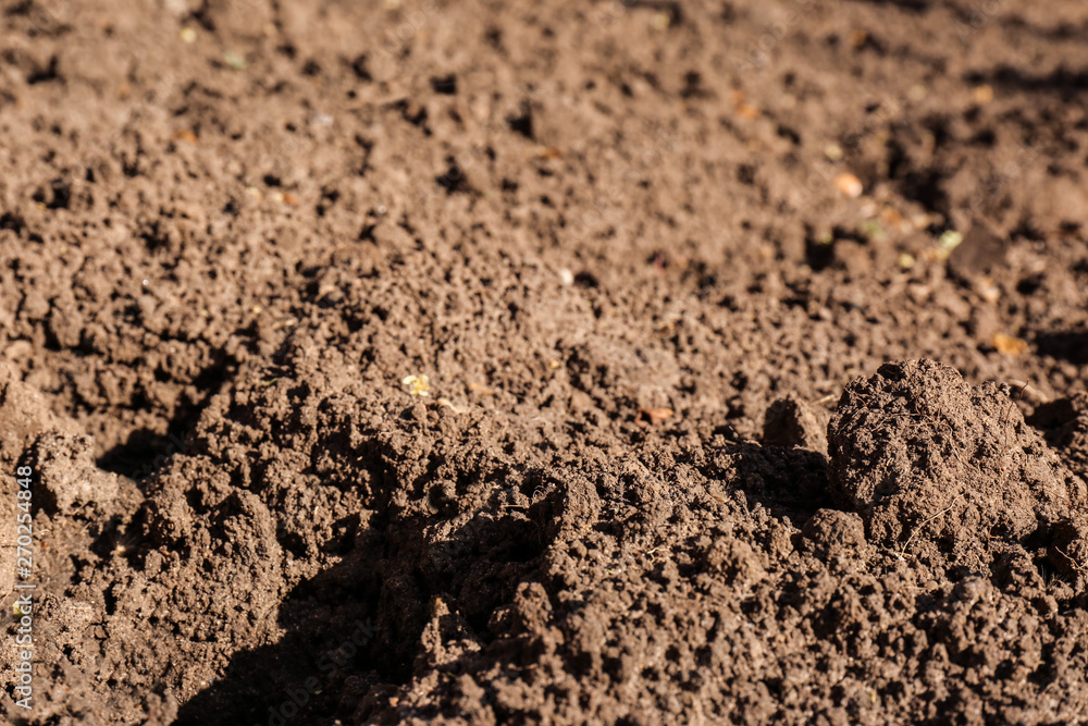 Textured ground surface as background, closeup. Fertile soil Textured ground surface as background, closeup. Fertile soil