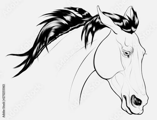 Linear portrait of a wary stallion, laid his ears back. Head of a running steed with fluttering mane. Vector clip art, design element for equestrian goods, racecourses and stud farms.