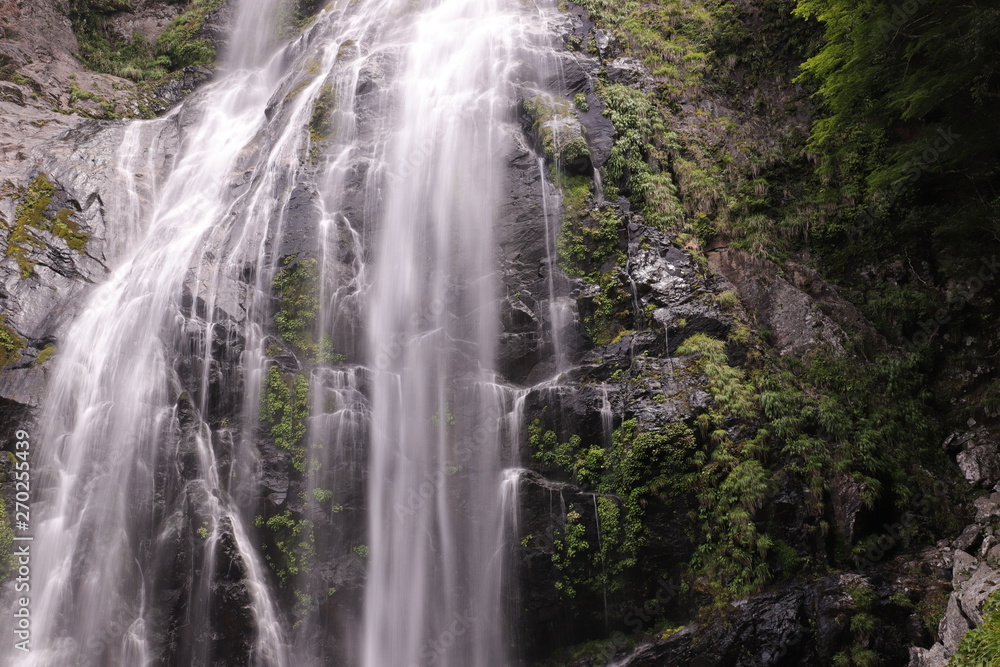 Obraz premium 千尋の滝