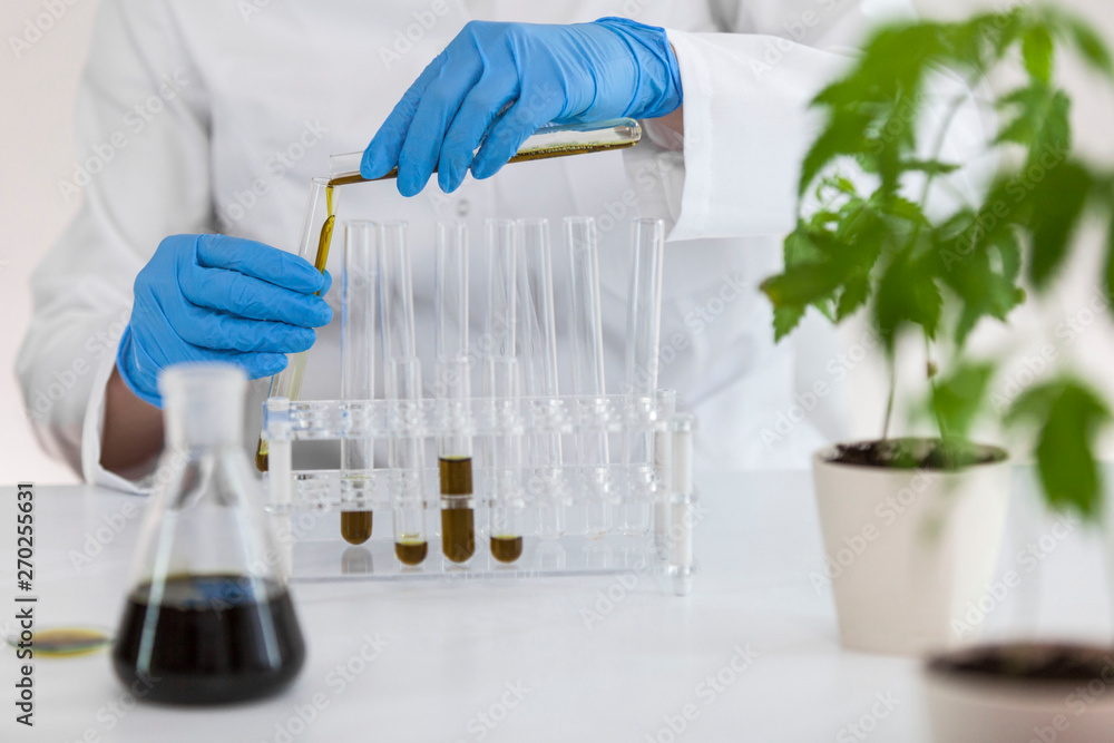 Experimental titration of the CBD oil in a glass tube Experimental titration of the CBD oil in a glass tube