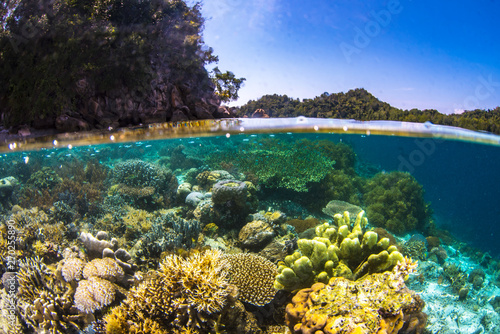 Fototapeta Naklejka Na Ścianę i Meble -  A beautiful coral sea scape with clear beautiful water