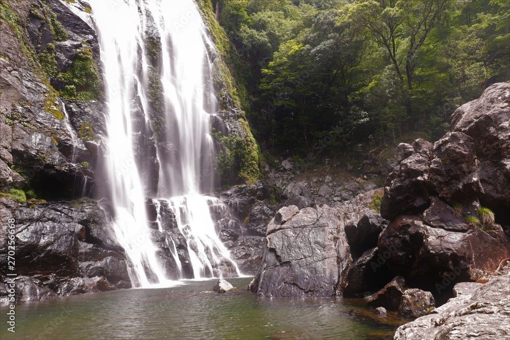 Obraz premium 千尋の滝