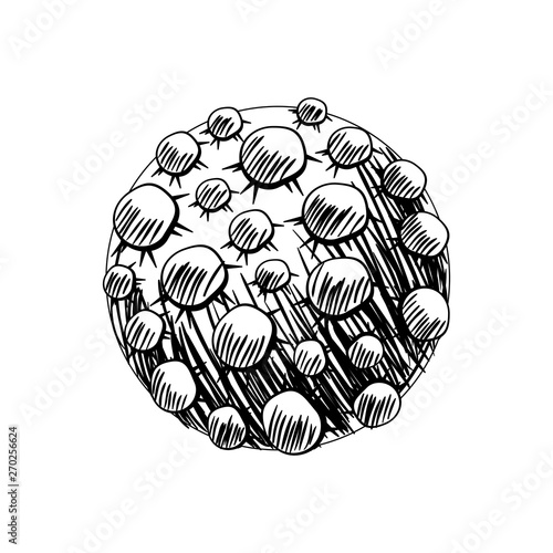 meteor of the solar system in white background