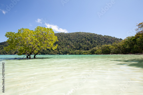 The snorkelling famous place of Mu Koh Surin Island National Park where near to Khura Buri district, Phang-nga, Thailand photo