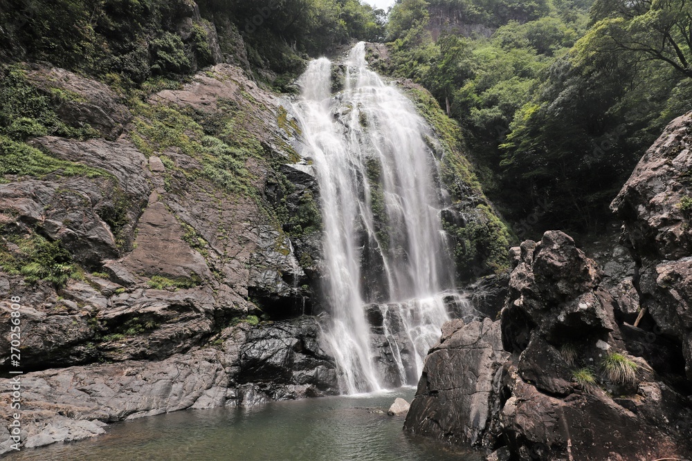 Fototapeta premium 千尋の滝