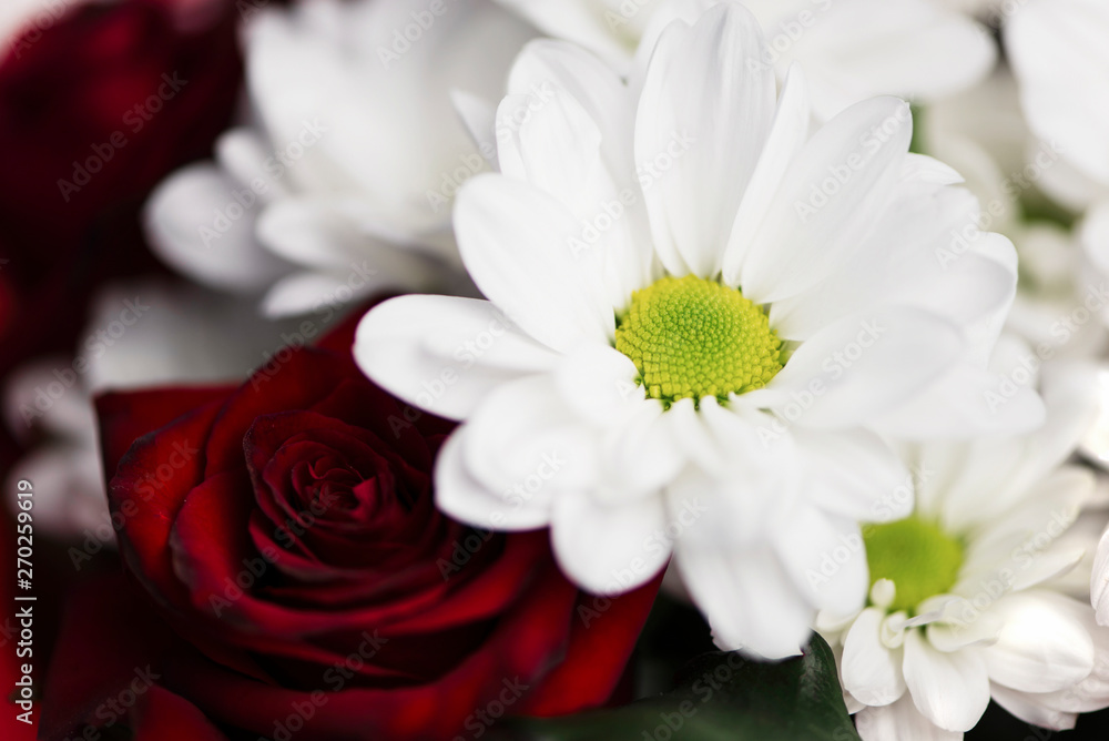 beautiful bouquet of daisy flowers and red roses, background beautiful bouquet of daisy flowers and red roses, background