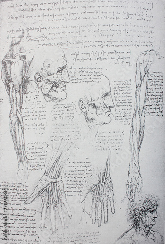 Anatomical notes. Face, head, wrist, hand. Manuscripts of Leonardo da Vinci in the vintage book Leonardo da Vinci by A.L. Volynskiy, St. Petersburg, 1899 photo