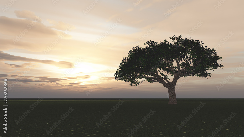 Obraz premium tree in the meadow sunset