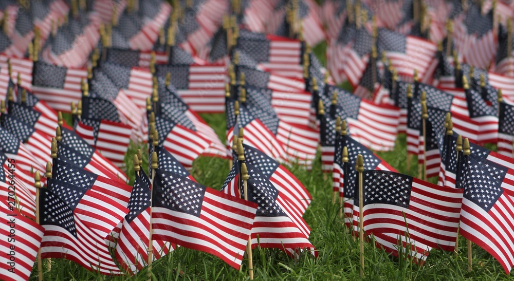 Fototapeta premium American Flags in a Large Group