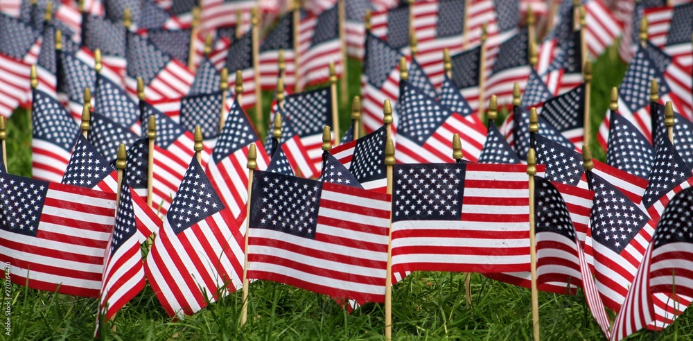 Obraz premium American Flags in a Large Group