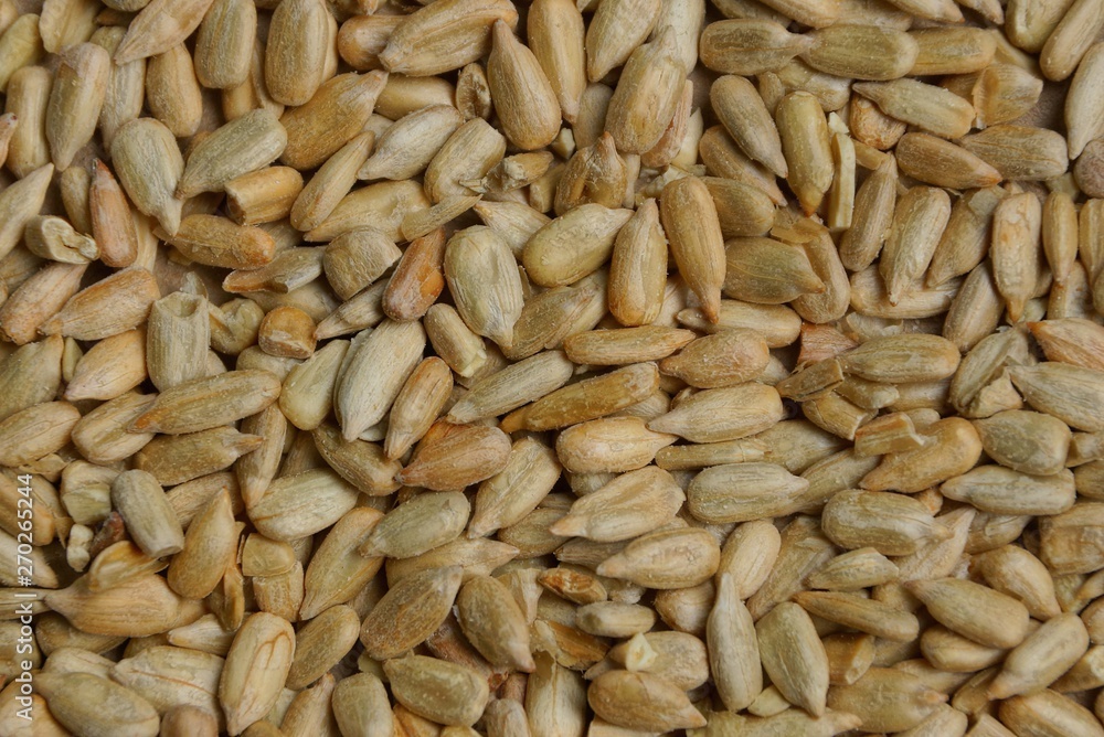 natural plant texture from gray brown fine peeled seeds natural plant texture from gray brown fine peeled seeds