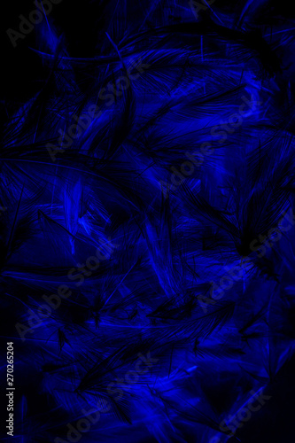 Beautiful abstract colorful blue and black feathers wall pattern textures background and wallpaper art