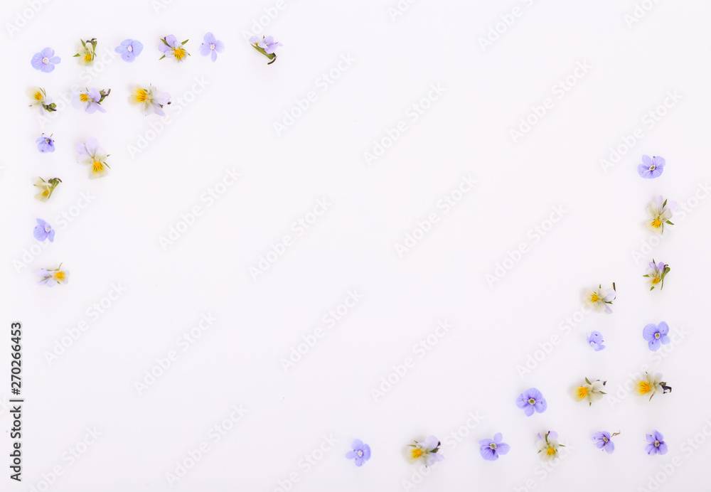 Floral pattern on a white background, small white yellow flowers