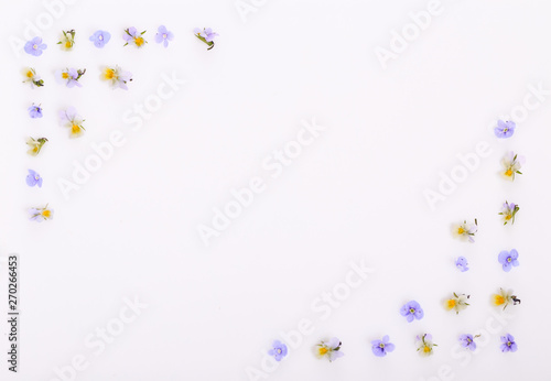 Floral pattern on a white background  small white yellow flowers