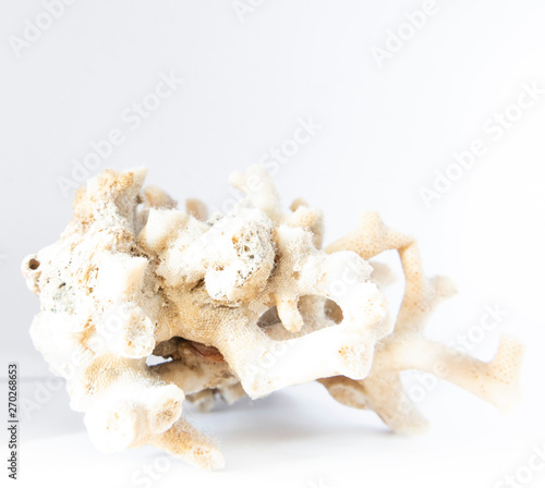 rock