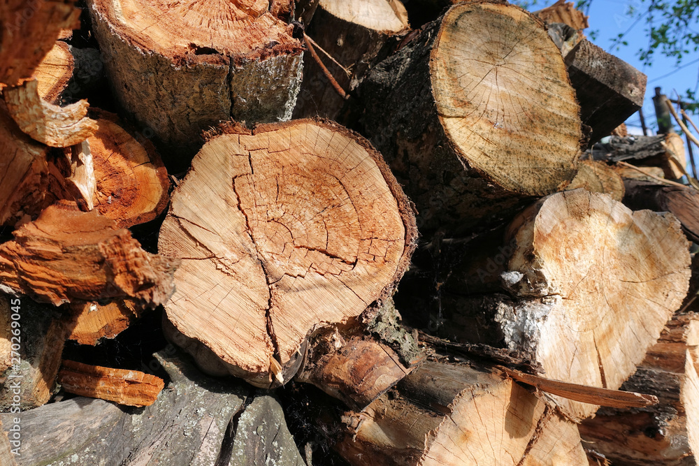 Logs. Log cuts. Stack of logs. Stack of firewood. Logs cuts prepared for fireplace. Woodpile. Wood for fireplace. Wood for winter. Firewood background. Logs. Log cuts. Stack of logs. Stack of firewood. Logs cuts prepared for fireplace. Woodpile. Wood for fireplace. Wood for winter. Firewood background.