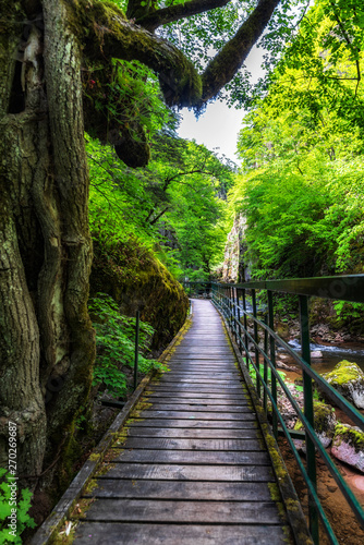 River valley canyon with wooden path on the rocks © Petar