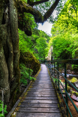 River valley canyon with wooden path on the rocks