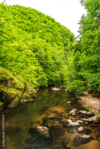 Amazing view of Devin river valley, Western Rhodope Mountains, Bulgaria