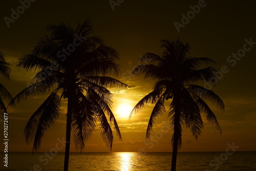 The sun is rising and the golden yellow sky and coconut trees at the beach by the sea in the early morning