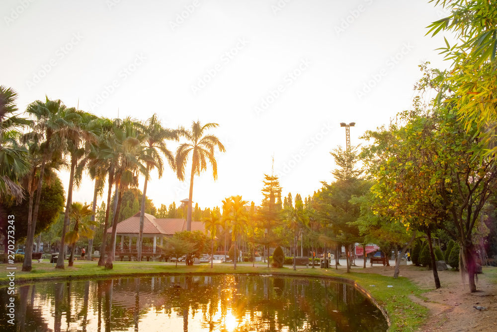 serene park in city center during sunrise time